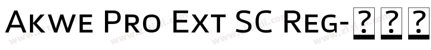 Akwe Pro Ext SC Reg字体转换